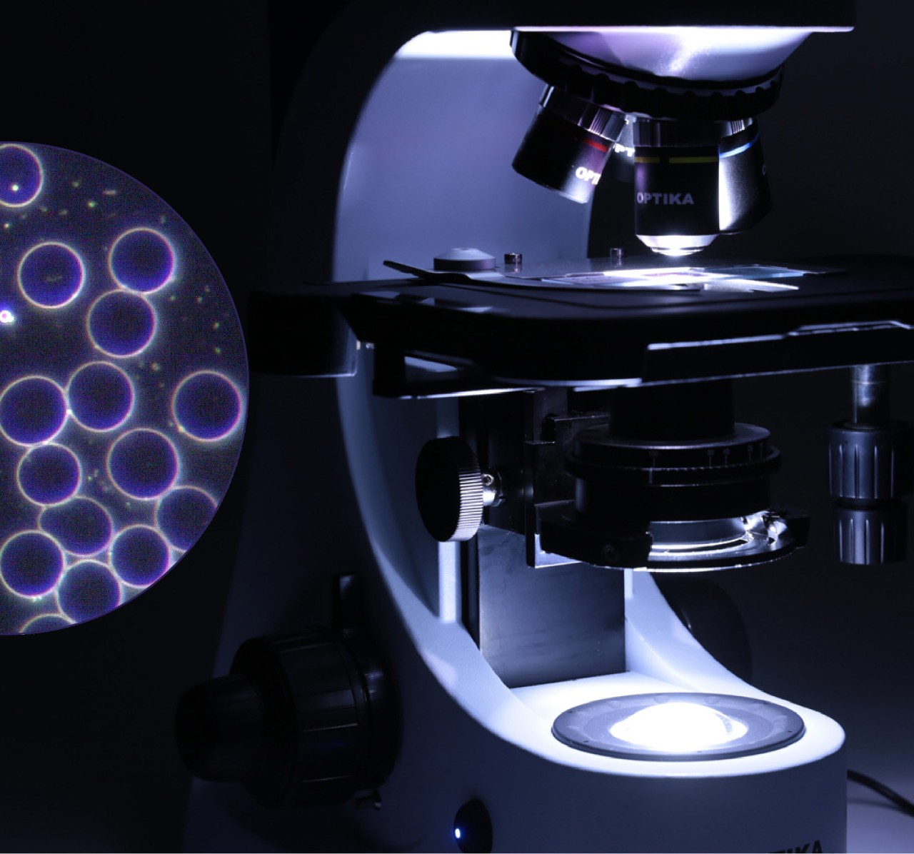 imagen_microscopia-1280x1196.jpg